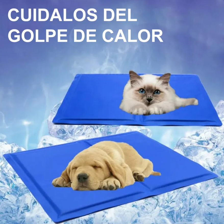Combo Cool Mat Colchoneta Refrescante Mascota Perro Gato + Collar Correa con Luces Rosado