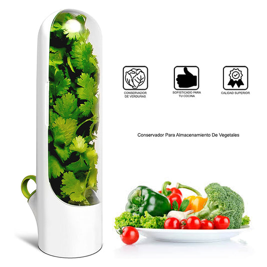 Contenedor Conservador para Almacenamiento de Vegetales Lechuga Verduras Decoración Cocina Easy&Home