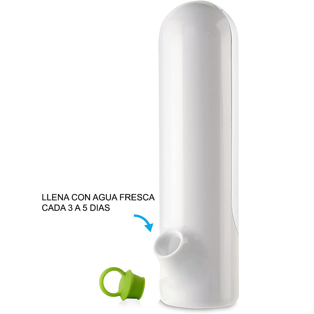 Contenedor Conservador para Almacenamiento de Vegetales Lechuga Verduras Decoración Cocina Easy&Home